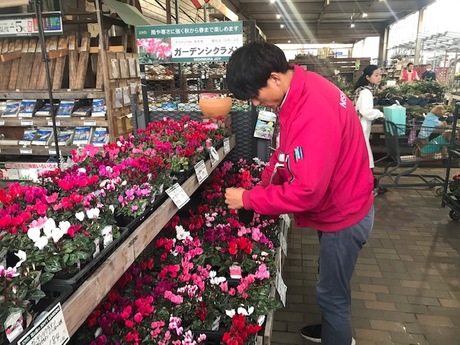 西村ジョイ 琴平店 ガーデンセンター スタッフの募集詳細